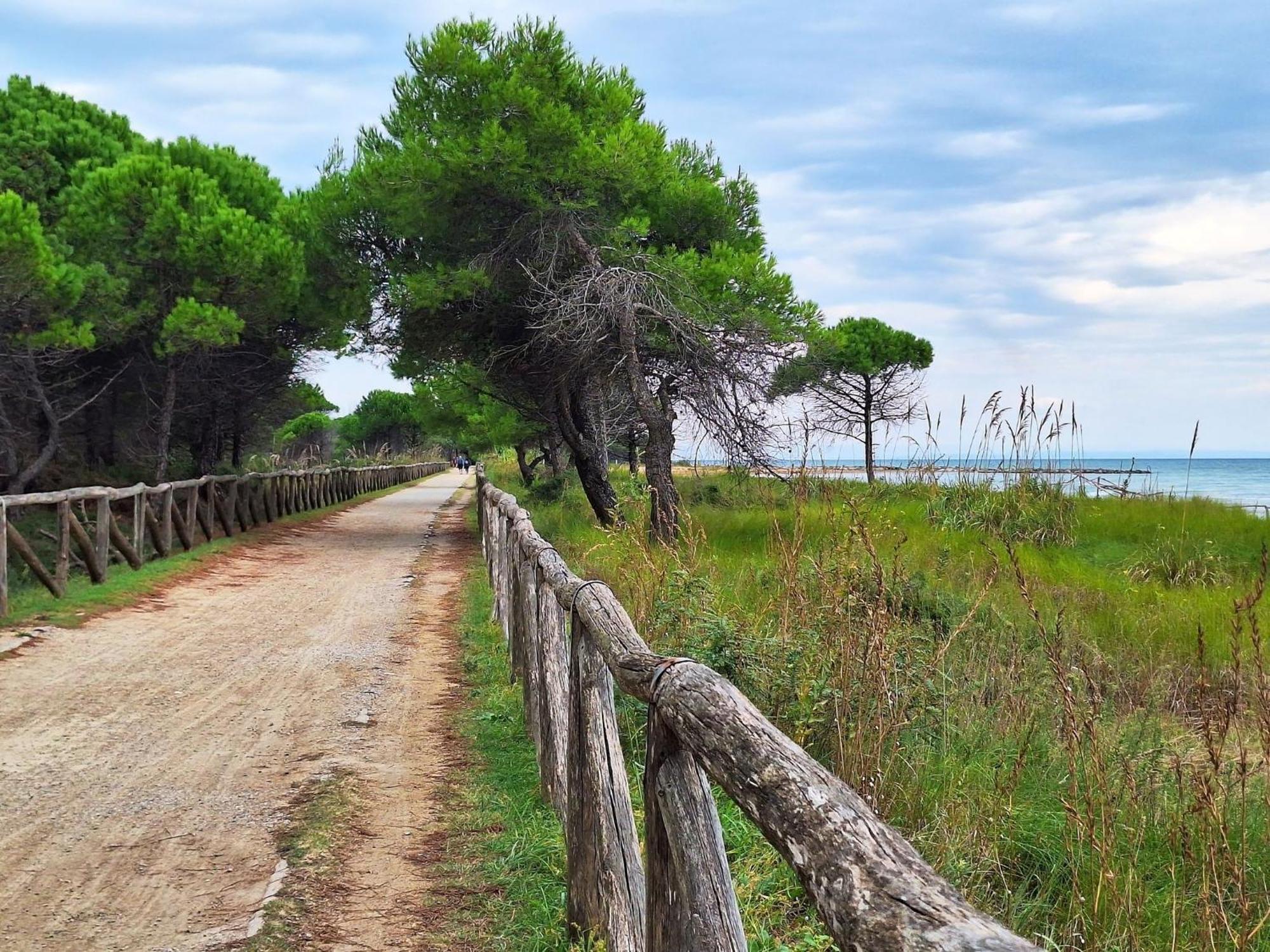 Appartamento In A Quiet Area Close To The